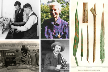 Academy journal explores history of plant pathology in Australia-thumbnail